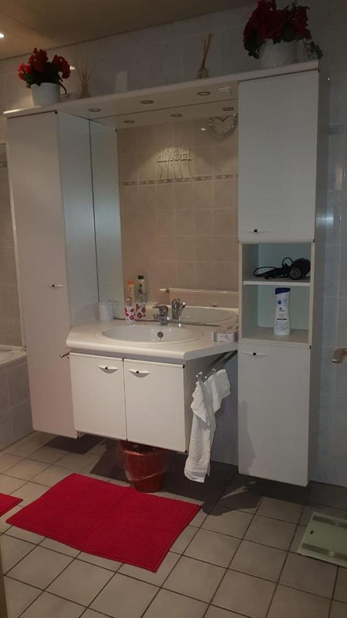 Komfortable Ferienwohnung In Floersheim-Weilbach フレールスハイム・アム・マイン エクステリア 写真